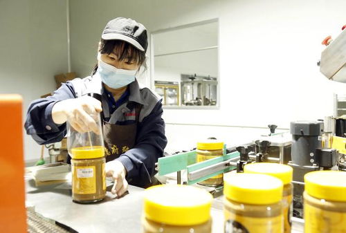 家门口的增收密码 河北邢台“微工厂”点燃正餐服务就业新引擎