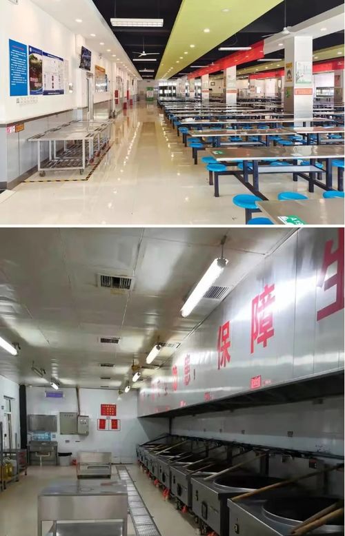 河北邢台市创建省级校园食品安全标准食堂44家，助推正餐服务再上台阶
