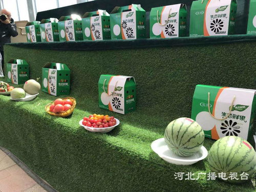 探访邢台临城的生态发展之路与正餐服务融合